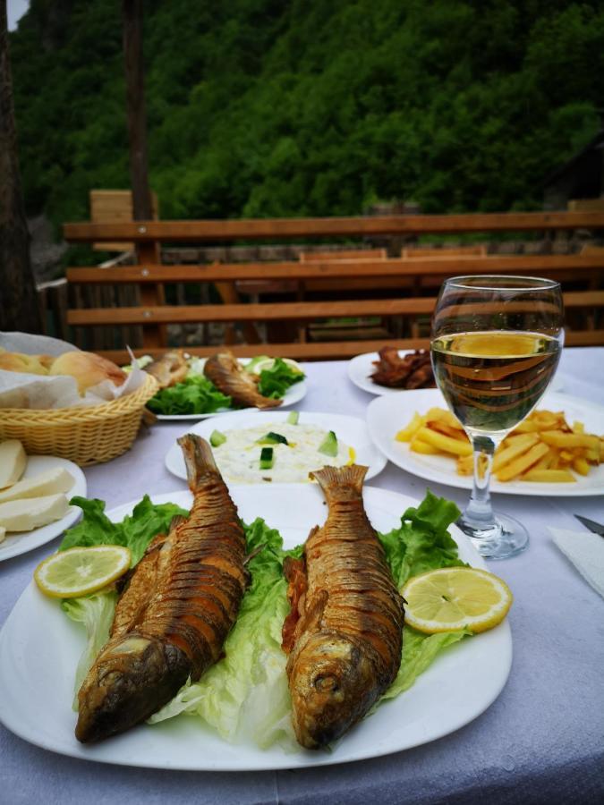 Riverside Komani Auberge de jeunesse Koman