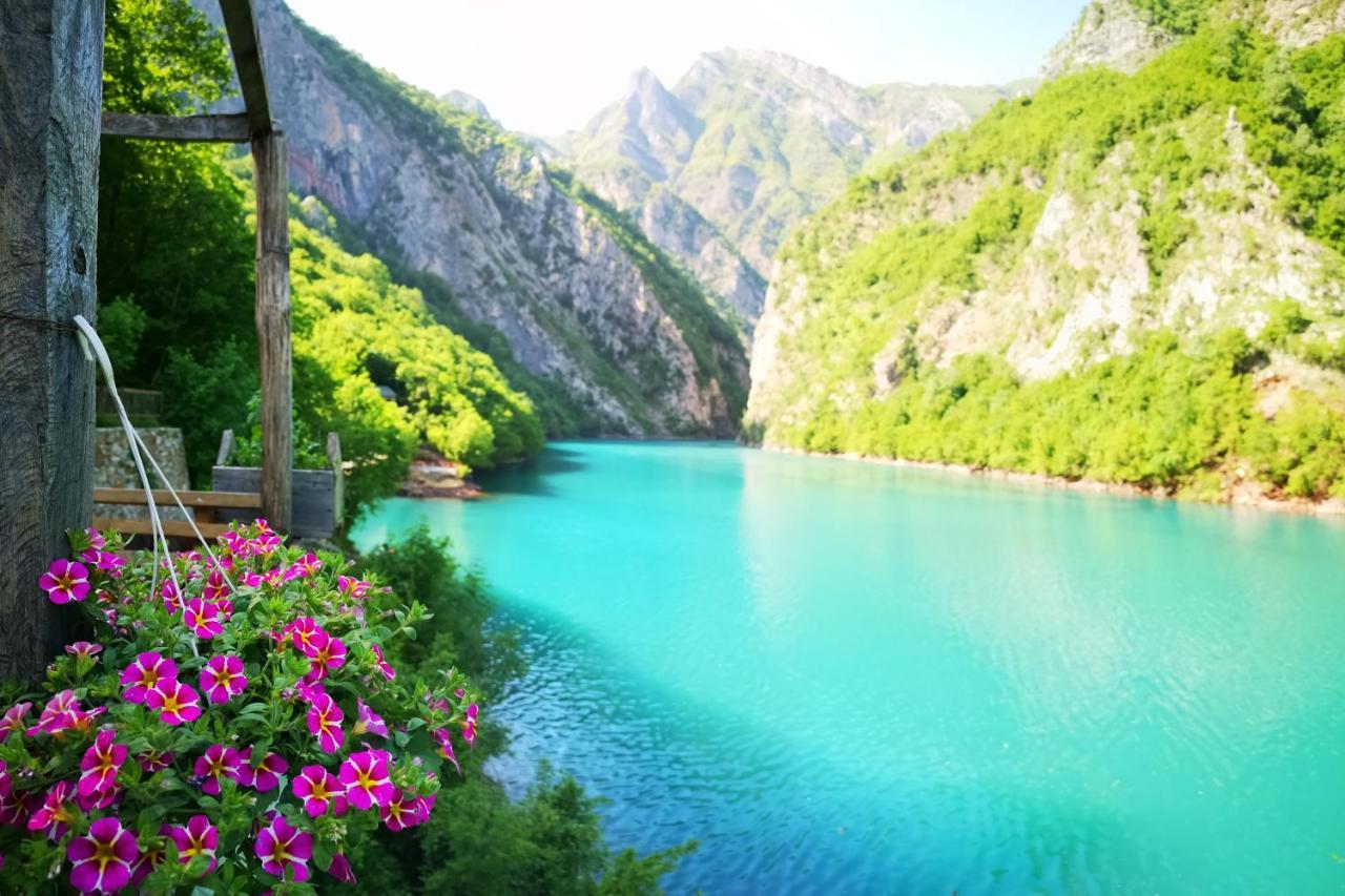 Хостел Riverside Komani Koman